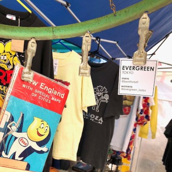 evergreenアイコン